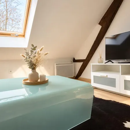 Cosy Mansarde, Centre, Animaux Acceptes Dijon