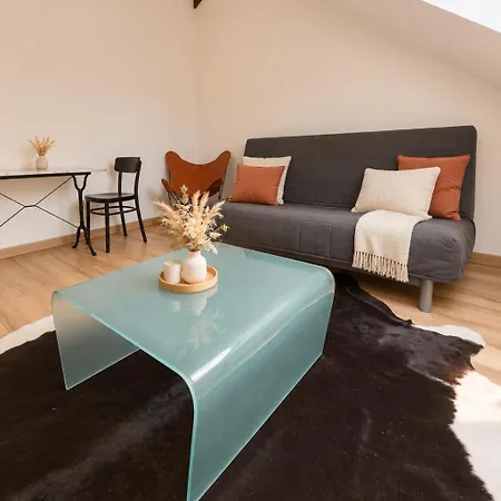 Cosy Mansarde, Centre, Animaux Acceptes * Dijon