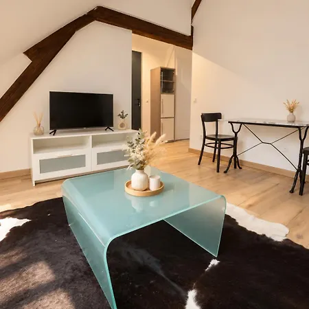 Cosy Mansarde, Centre, Animaux Acceptes Apartment